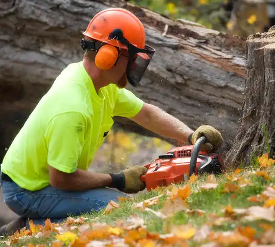 tree services Fort Dix